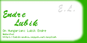 endre lubik business card